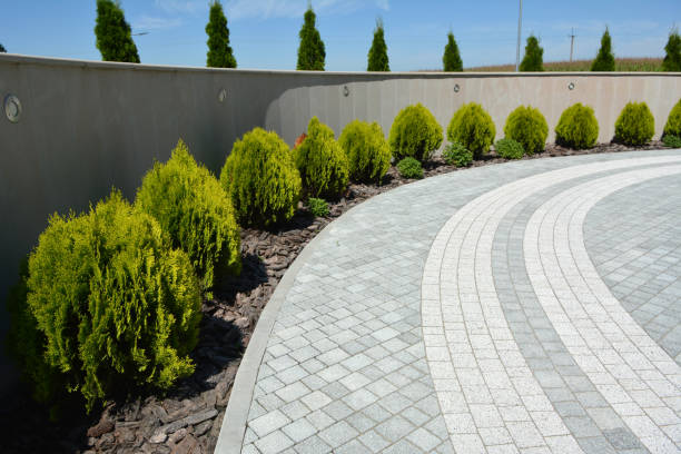 Best Local Driveway Pavers  in Hillsboro, MO